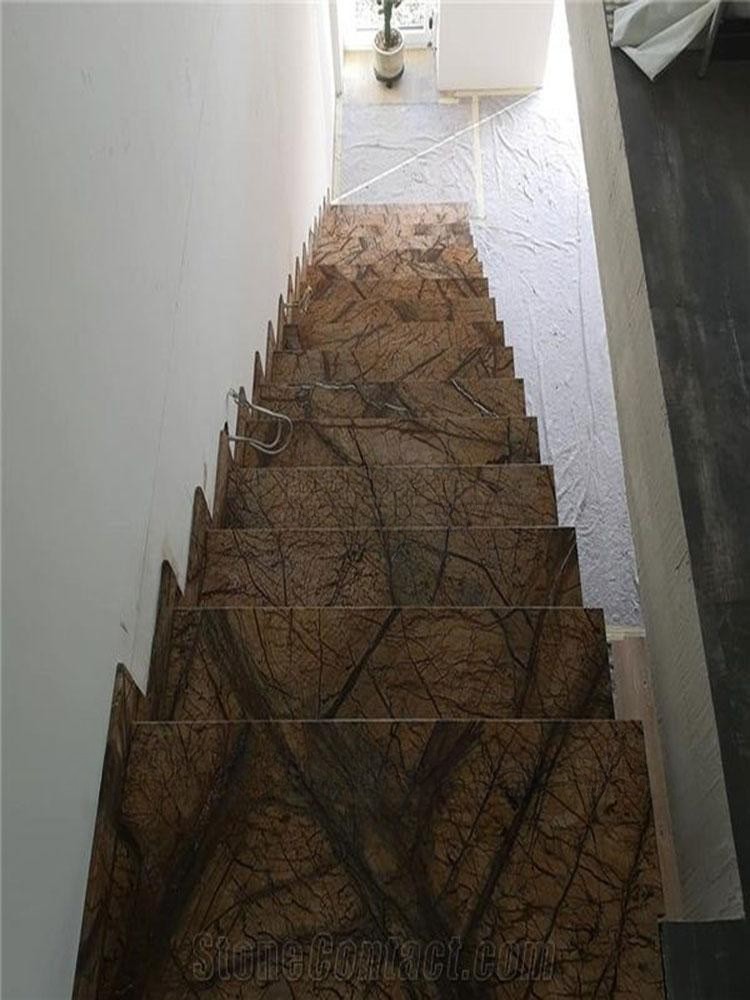 Đá Marble Nâu Rừng Mưa (Rainforest Brown) - Ảnh 14